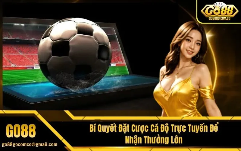 Bí Quyết Đặt Cược Cá Độ Trực Tuyến Để Nhận Thưởng Lớn