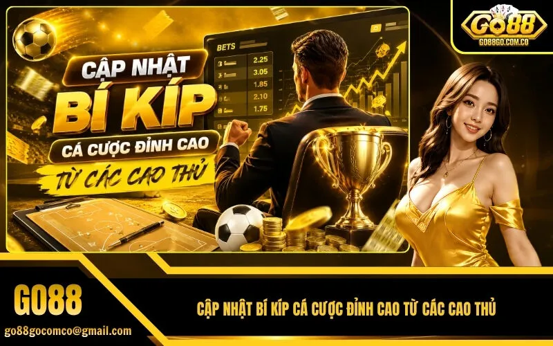 Cập Nhật Bí Kíp Cá Cược Đỉnh Cao Từ Các Cao Thủ