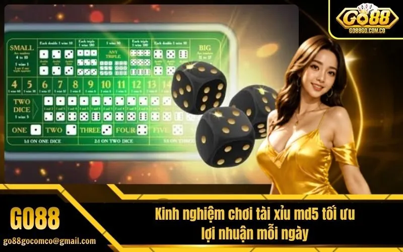 Kinh nghiệm chơi tài xỉu md5 tối ưu lợi nhuận mỗi ngày