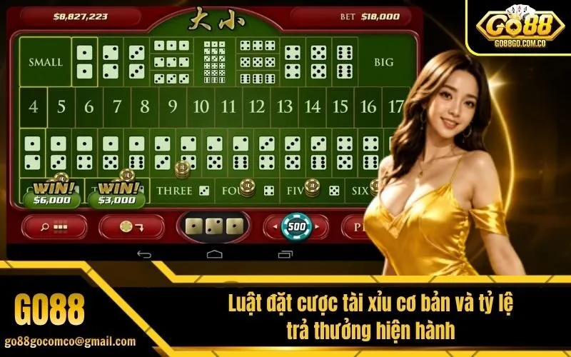 Luật đặt cược tài xỉu cơ bản và tỷ lệ trả thưởng hiện hành
