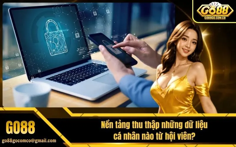 Nền tảng thu thập những dữ liệu cá nhân nào từ hội viên